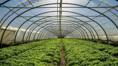 تجهیزات گلخانه چیست